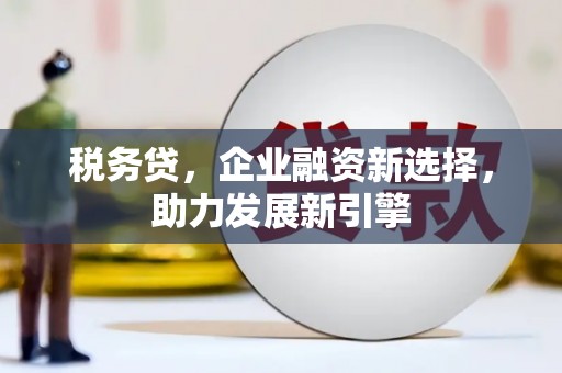 洋县税务贷，企业融资新选择，助力发展新引擎