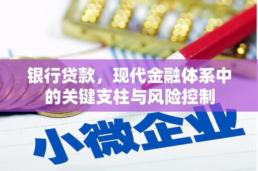 洋县银行贷款，现代金融体系中的关键支柱与风险控制