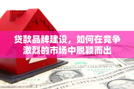 洋县贷款品牌建设，如何在竞争激烈的市场中脱颖而出