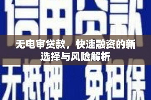 洋县无电审贷款，快速融资的新选择与风险解析