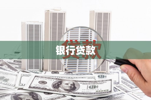洋县银行贷款