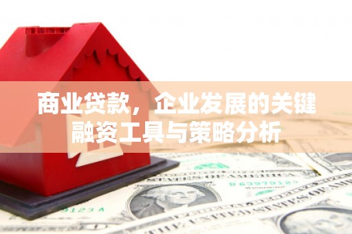 洋县商业贷款，企业发展的关键融资工具与策略分析