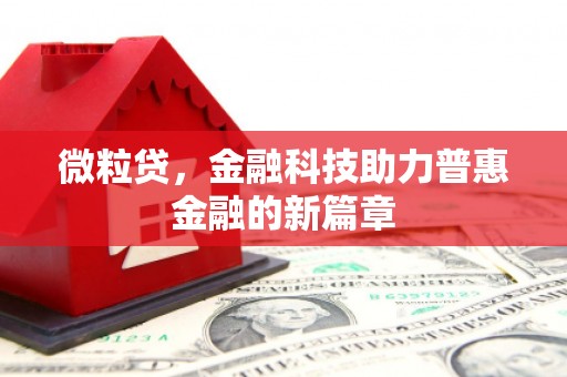 洋县微粒贷，金融科技助力普惠金融的新篇章