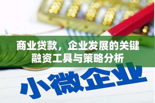 洋县商业贷款，企业发展的关键融资工具与策略分析