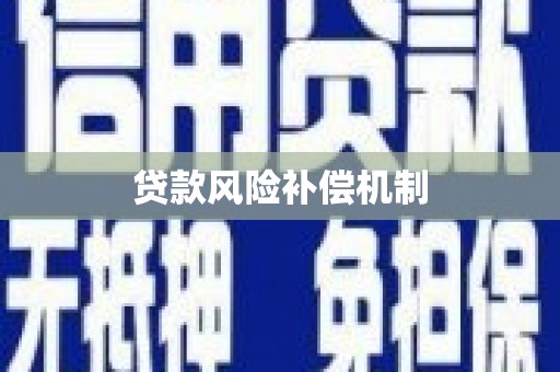 洋县贷款风险补偿机制
