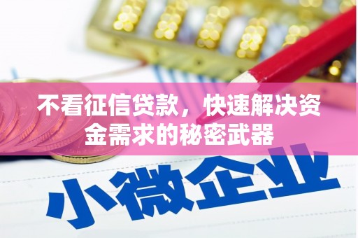 洋县不看征信贷款，快速解决资金需求的秘密武器