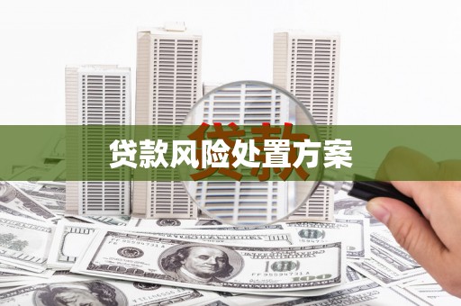 洋县贷款风险处置方案
