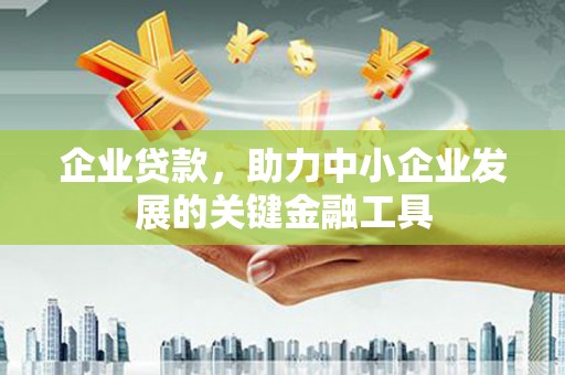洋县企业贷款，助力中小企业发展的关键金融工具