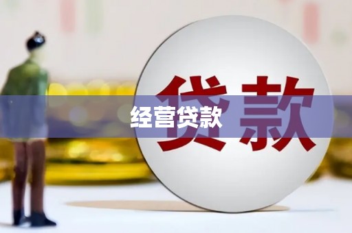 洋县经营贷款