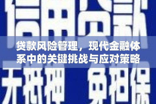 洋县贷款风险管理，现代金融体系中的关键挑战与应对策略