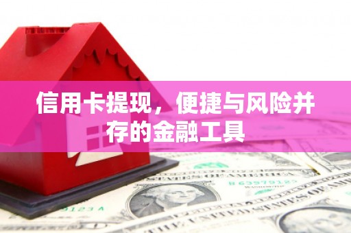 洋县信用卡提现，便捷与风险并存的金融工具