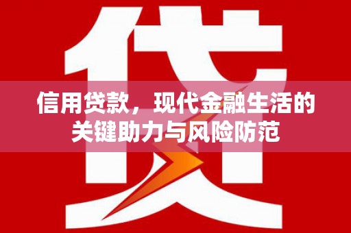 洋县信用贷款，现代金融生活的关键助力与风险防范