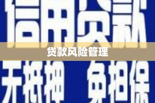 洋县贷款风险管理