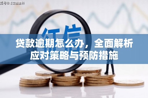 洋县贷款逾期怎么办，全面解析应对策略与预防措施