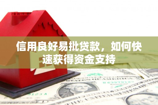 洋县信用良好易批贷款，如何快速获得资金支持