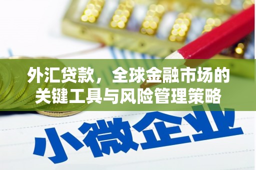 洋县外汇贷款，全球金融市场的关键工具与风险管理策略