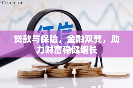 洋县贷款与保险，金融双翼，助力财富稳健增长