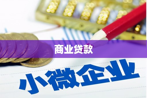 洋县商业贷款