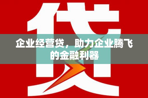 洋县企业经营贷，助力企业腾飞的金融利器