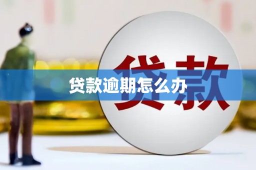 洋县贷款逾期怎么办