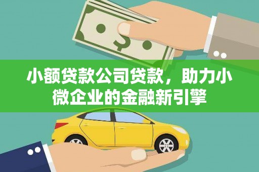 洋县小额贷款公司贷款，助力小微企业的金融新引擎
