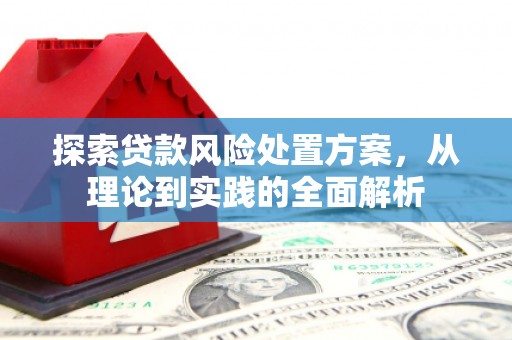 洋县探索贷款风险处置方案，从理论到实践的全面解析