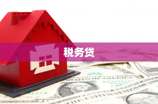 洋县税务贷