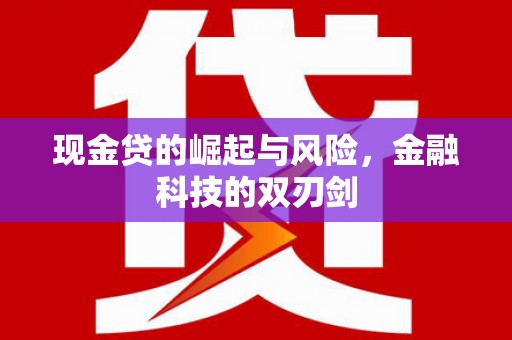 洋县现金贷的崛起与风险，金融科技的双刃剑