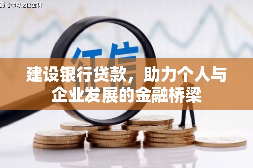 洋县建设银行贷款，助力个人与企业发展的金融桥梁