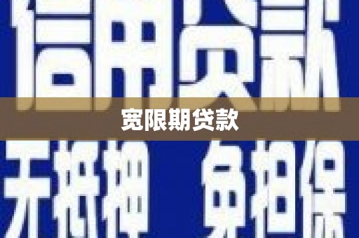 洋县宽限期贷款