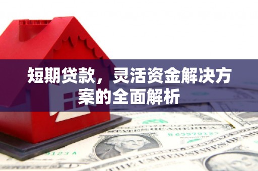 洋县短期贷款，灵活资金解决方案的全面解析