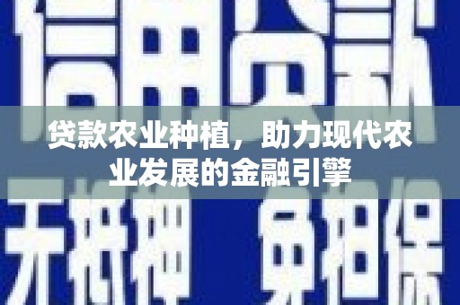 洋县贷款农业种植，助力现代农业发展的金融引擎