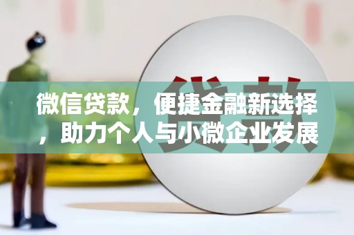 洋县微信贷款，便捷金融新选择，助力个人与小微企业发展