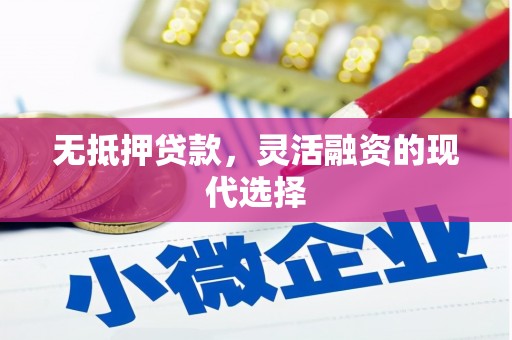 洋县无抵押贷款，灵活融资的现代选择