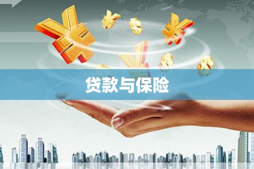 洋县贷款与保险