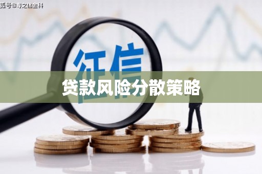 洋县贷款风险分散策略
