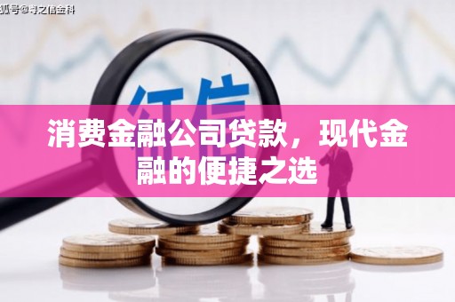 洋县消费金融公司贷款，现代金融的便捷之选