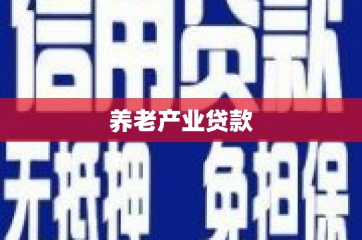 洋县养老产业贷款