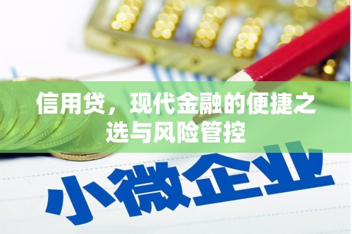 洋县信用贷，现代金融的便捷之选与风险管控
