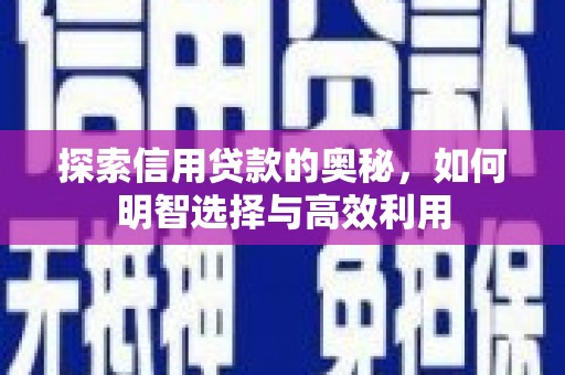 洋县探索信用贷款的奥秘，如何明智选择与高效利用
