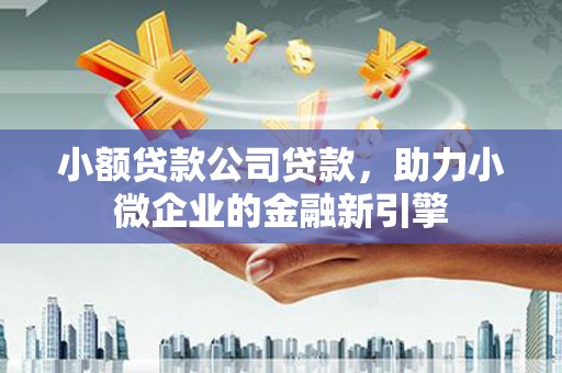 洋县小额贷款公司贷款，助力小微企业的金融新引擎