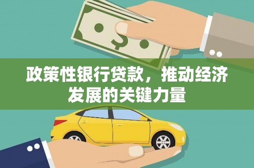 洋县政策性银行贷款，推动经济发展的关键力量