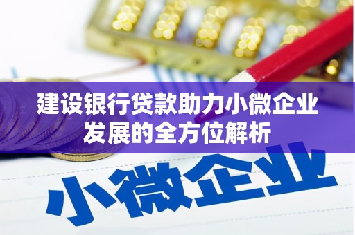 洋县建设银行贷款助力小微企业发展的全方位解析