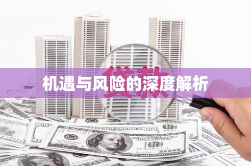 洋县机遇与风险的深度解析