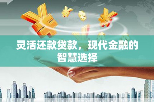 洋县灵活还款贷款，现代金融的智慧选择