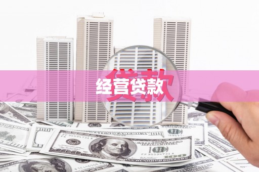 洋县经营贷款