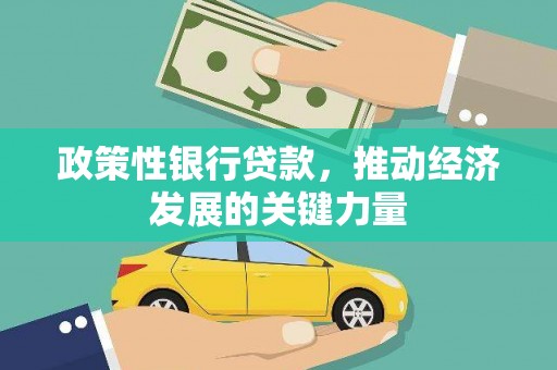 洋县政策性银行贷款，推动经济发展的关键力量