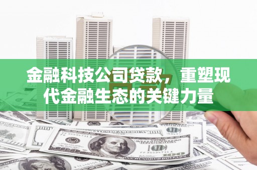 洋县金融科技公司贷款，重塑现代金融生态的关键力量