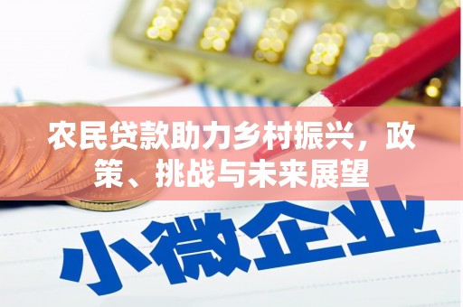 洋县农民贷款助力乡村振兴，政策、挑战与未来展望