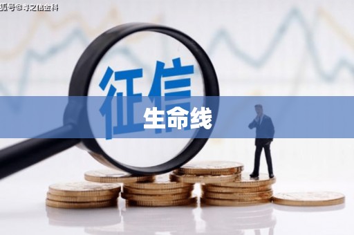 洋县生命线